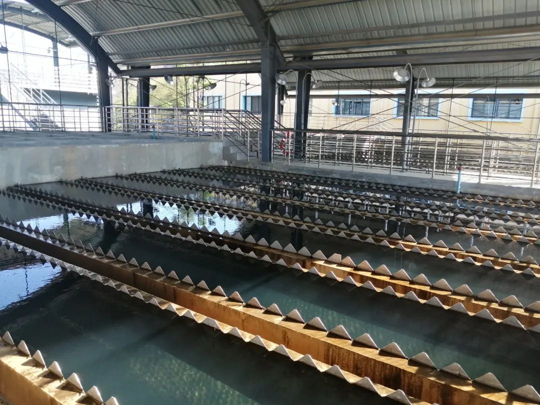 巧家县城第三水厂供水工程为何能斩获云南省金杯示范工程一等奖？背后故事令人惊叹  第3张