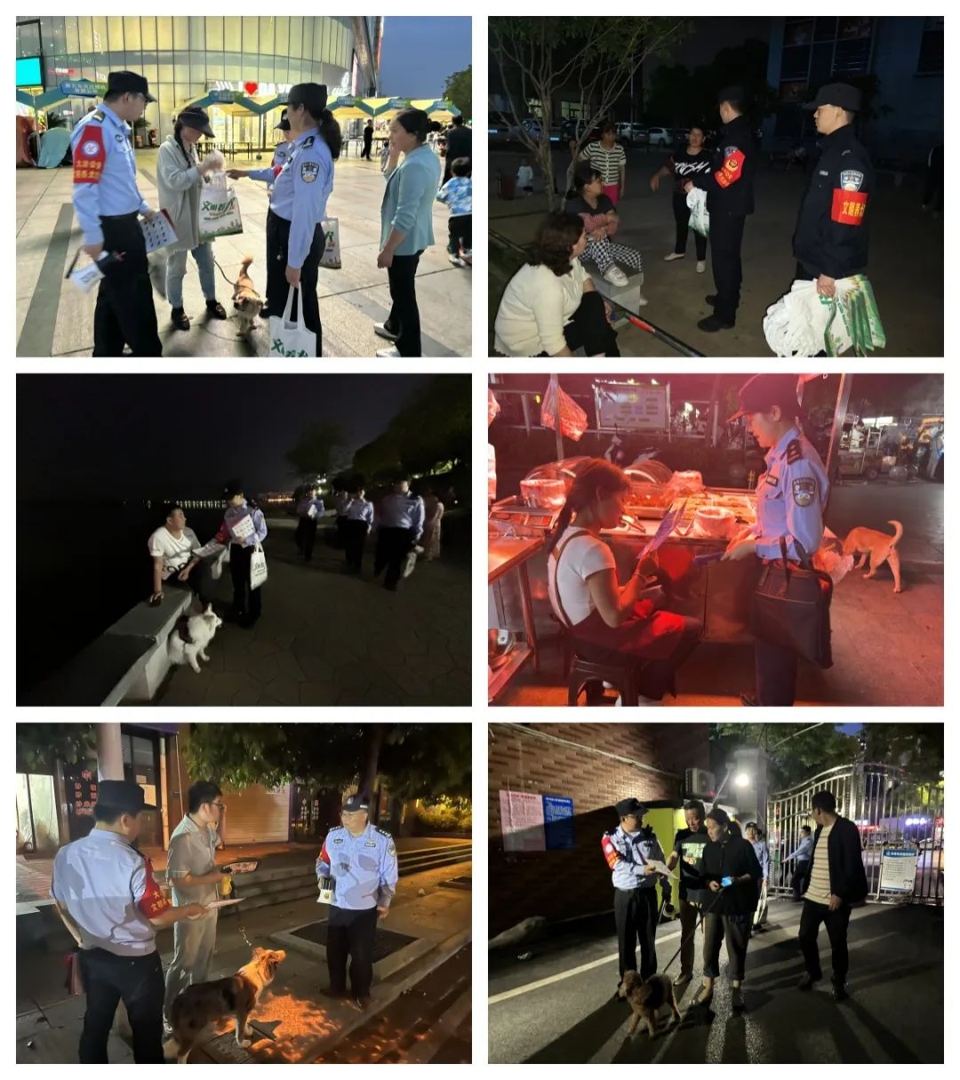 你家狗狗登记办证了吗？文明养犬新风尚，这些责任你做到了吗  第2张