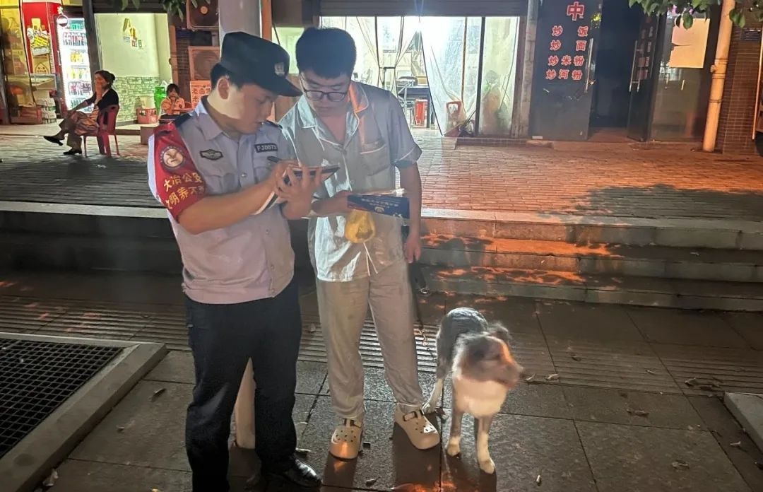 你家狗狗登记办证了吗？文明养犬新风尚，这些责任你做到了吗  第3张
