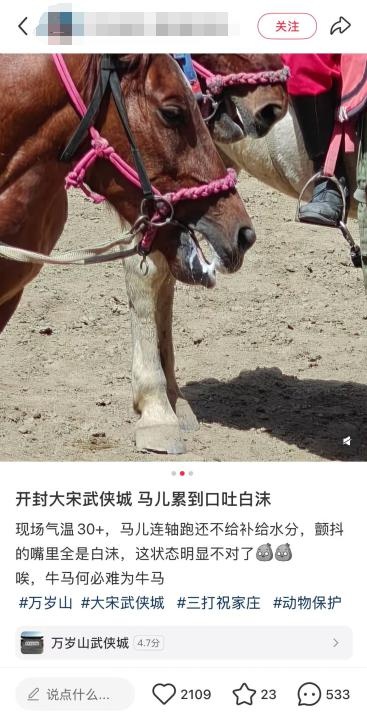 开封万岁山马儿累到口吐白沫？景区回应引网友热议