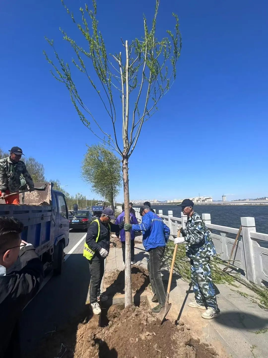 滨河路新添2.7万平绿地！20余种花卉树木打造城市新风景，你去打卡了吗？  第2张