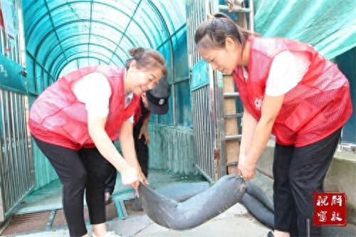 5月22日强降雨来袭！焦作这些街道如何保障居民安全度汛？