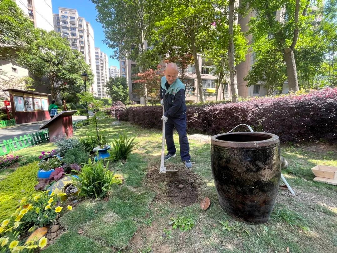 凌晨四点海棠花未眠，他竟做15个鸟窝？人与自然和谐共生妙招大揭秘  第11张