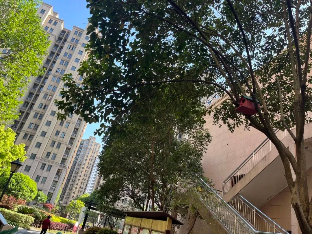 凌晨四点海棠花未眠，他竟做15个鸟窝？人与自然和谐共生妙招大揭秘  第7张