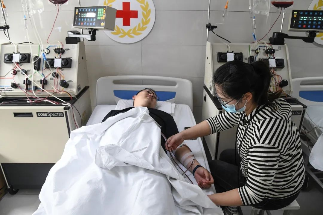 从一颗扎根港城的种子到万人参与！张闻明究竟有着怎样的魅力？  第3张