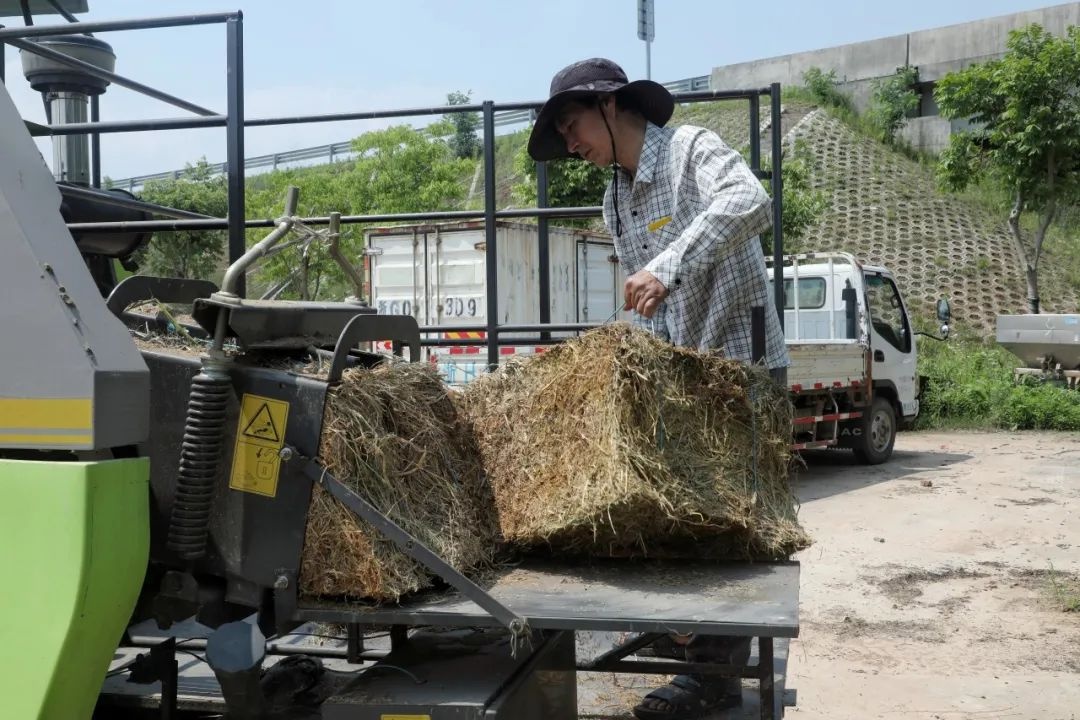 衢江农户有福啦！秸秆收储打捆一体机竟享 50%补贴，你知道吗？  第2张