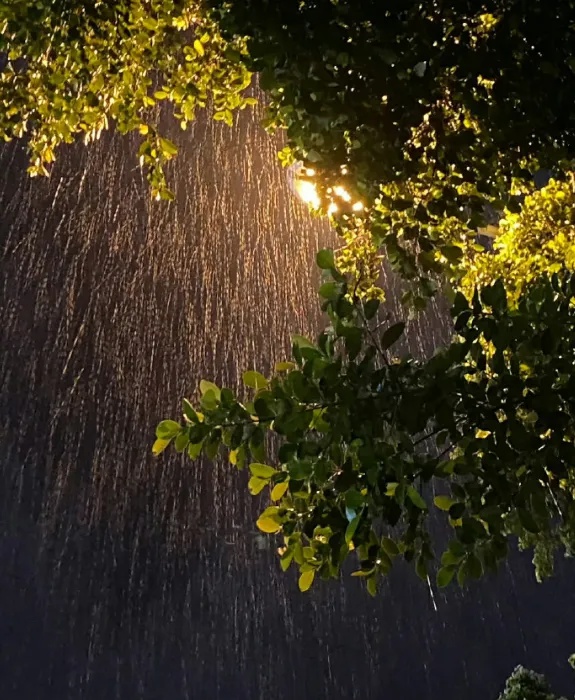 雨天频发灾害风险大增！这份天气防范提醒你收好了吗？  第2张