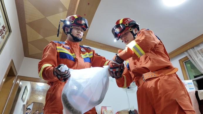 五月铜鼓县蛇类出没警情大增！八起事件是咋回事？  第6张