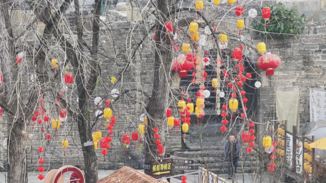 碧江区如何用3000盆花卉和433组灯笼打造新春氛围？探秘蛇年春节的独特魅力  第5张