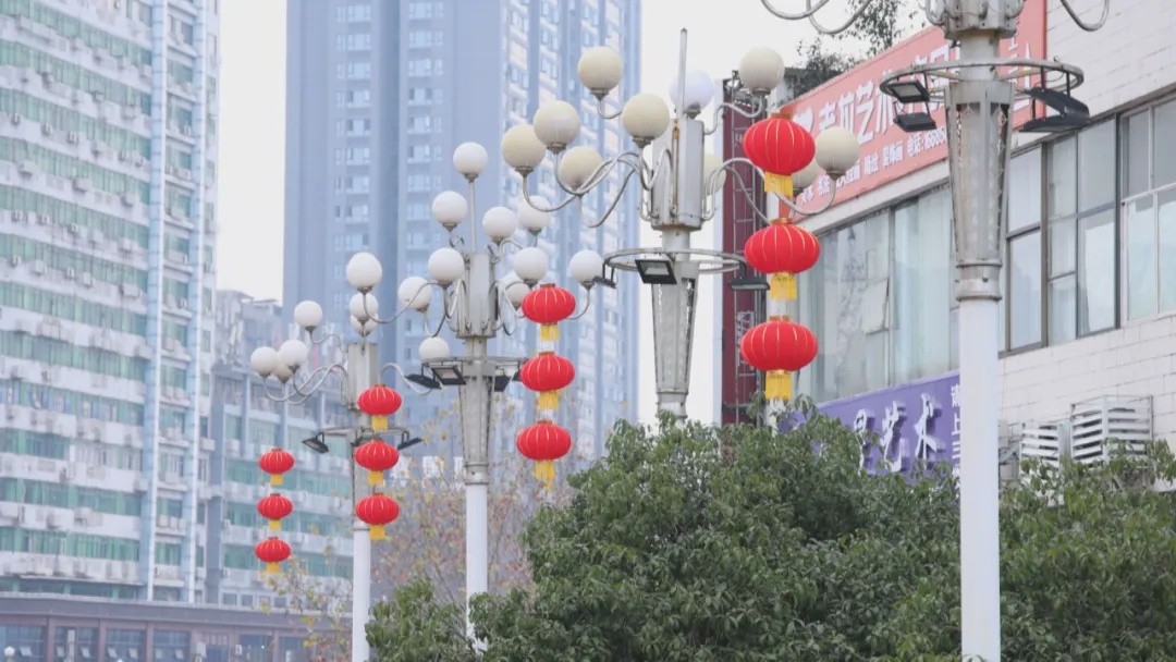碧江区如何用3000盆花卉和433组灯笼打造新春氛围？探秘蛇年春节的独特魅力  第6张
