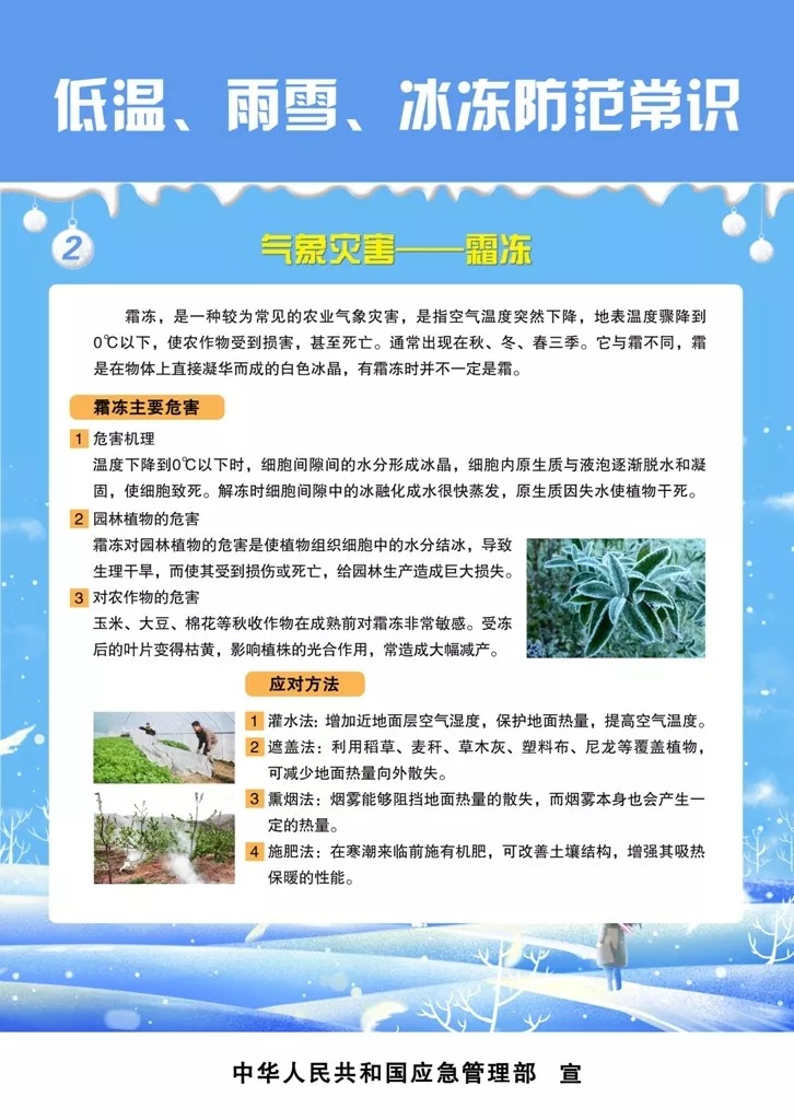 寒潮来袭！焦作48小时内气温骤降10℃，你准备好了吗？  第1张
