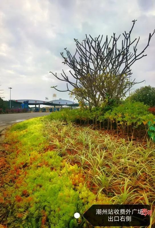 潮惠高速古巷出入口蝶变！广东东大门新地标如何惊艳四海宾客？  第2张