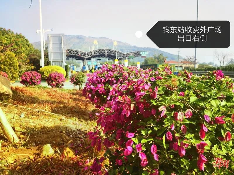 潮惠高速古巷出入口蝶变！广东东大门新地标如何惊艳四海宾客？  第3张