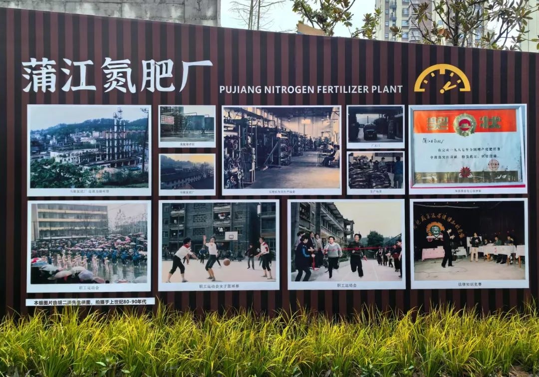 蒲江东北公园今日开放！6千平米绿意盎然，124个停车位等你来探秘  第4张