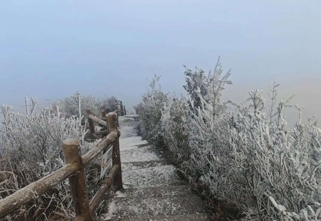 冷空气来袭！广东气温骤降6～10℃，粤北山区或将迎来雨夹雪！你准备好了吗？  第2张
