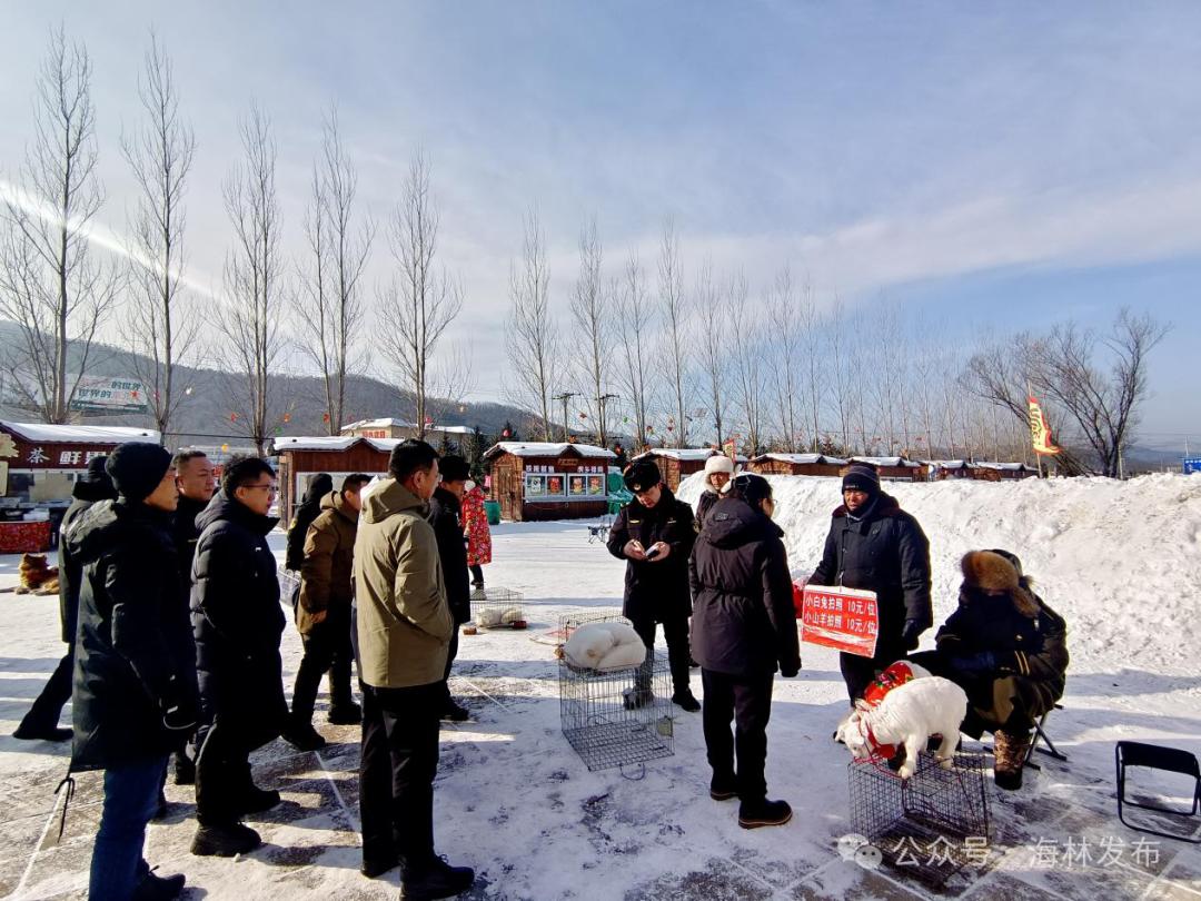 亚冬会安全保障大揭秘！市政府如何确保执法公正？市民也能参与监督  第3张