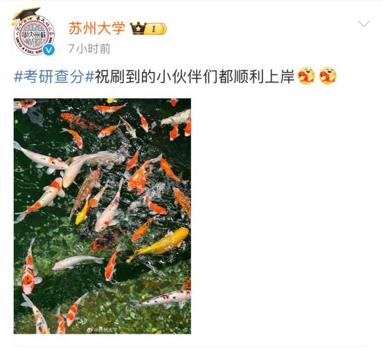 考研成绩揭晓！你准备好迎接新的人生篇章了吗？  第6张