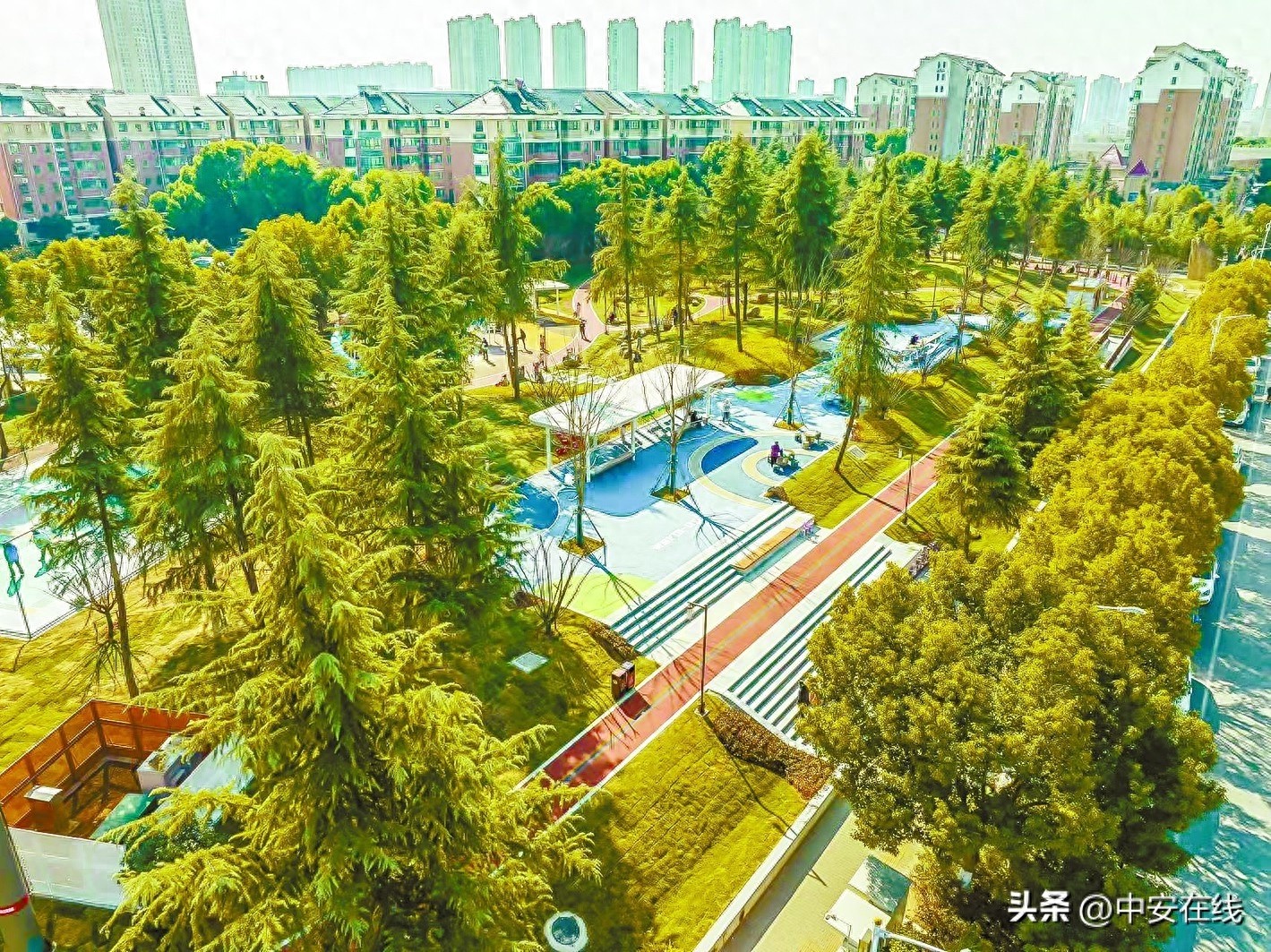 翡翠花园开放！家门口的口袋公园，你打卡了吗？
