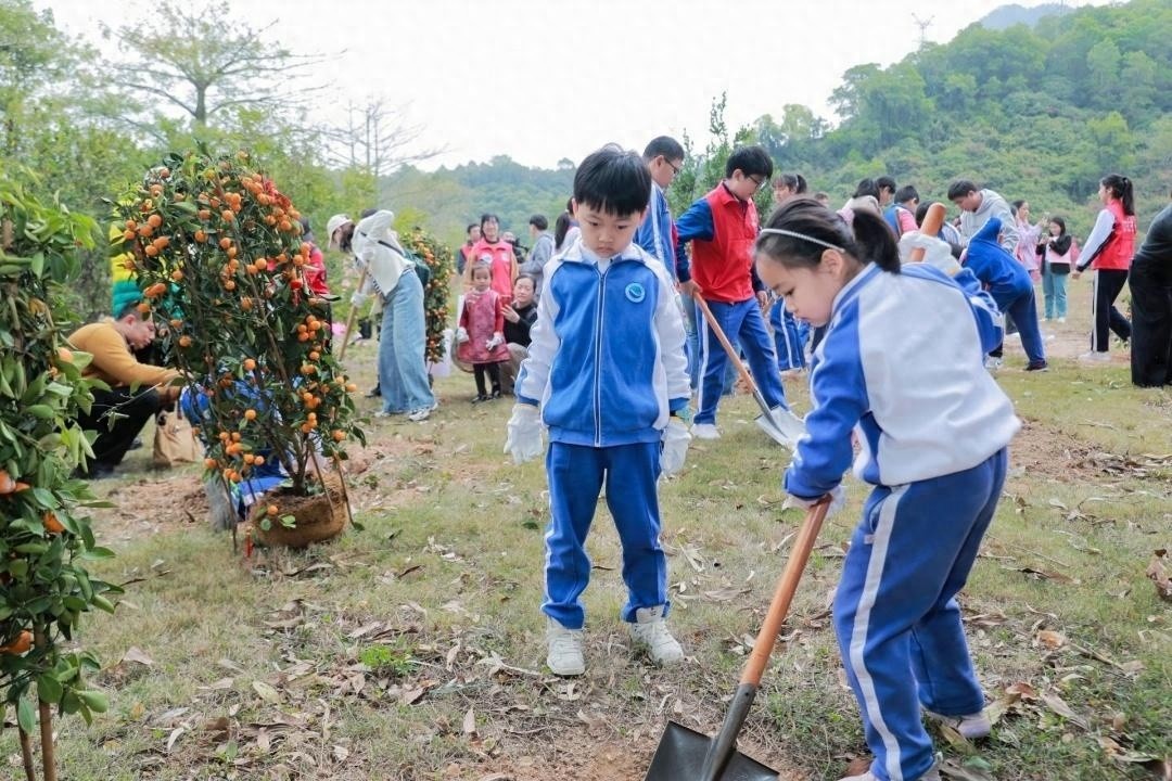 深圳十年环保奇迹：年花年桔如何焕发新生？参与回植，共创绿色未来