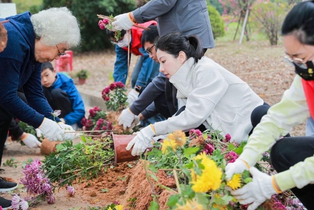深圳十年环保奇迹：年花年桔如何焕发新生？参与回植，共创绿色未来  第2张