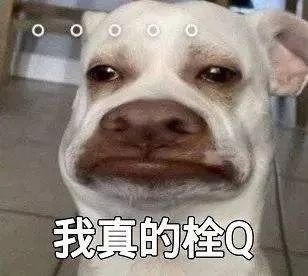 南方迎来罕见大回暖！气温飙升20℃，你准备好了吗？  第6张