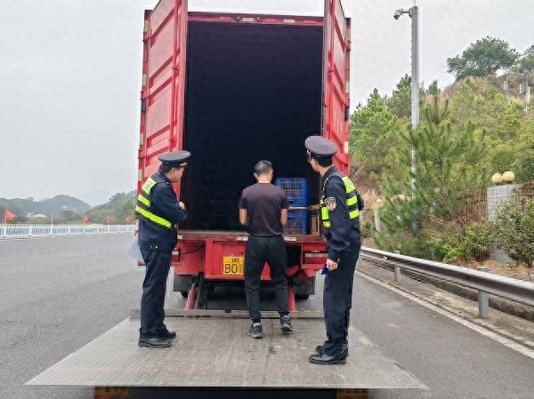 漳平市如何通过联合执法行动，有效打击非法野生动物运输？