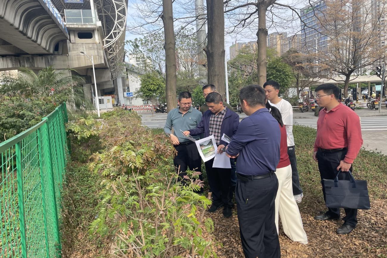 2025年防汛备汛工作大揭秘：江海区如何确保汛期安全？  第2张