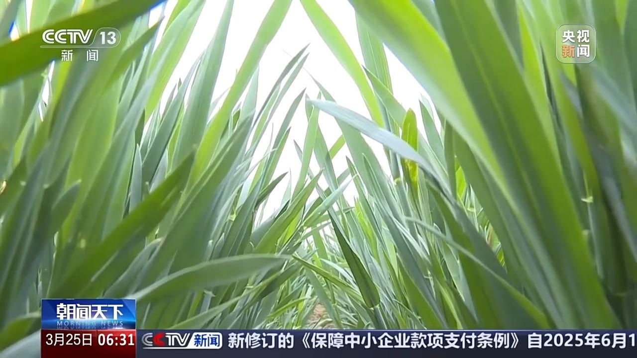 寒潮来袭，气温骤降20℃以上，你准备好了吗？  第2张
