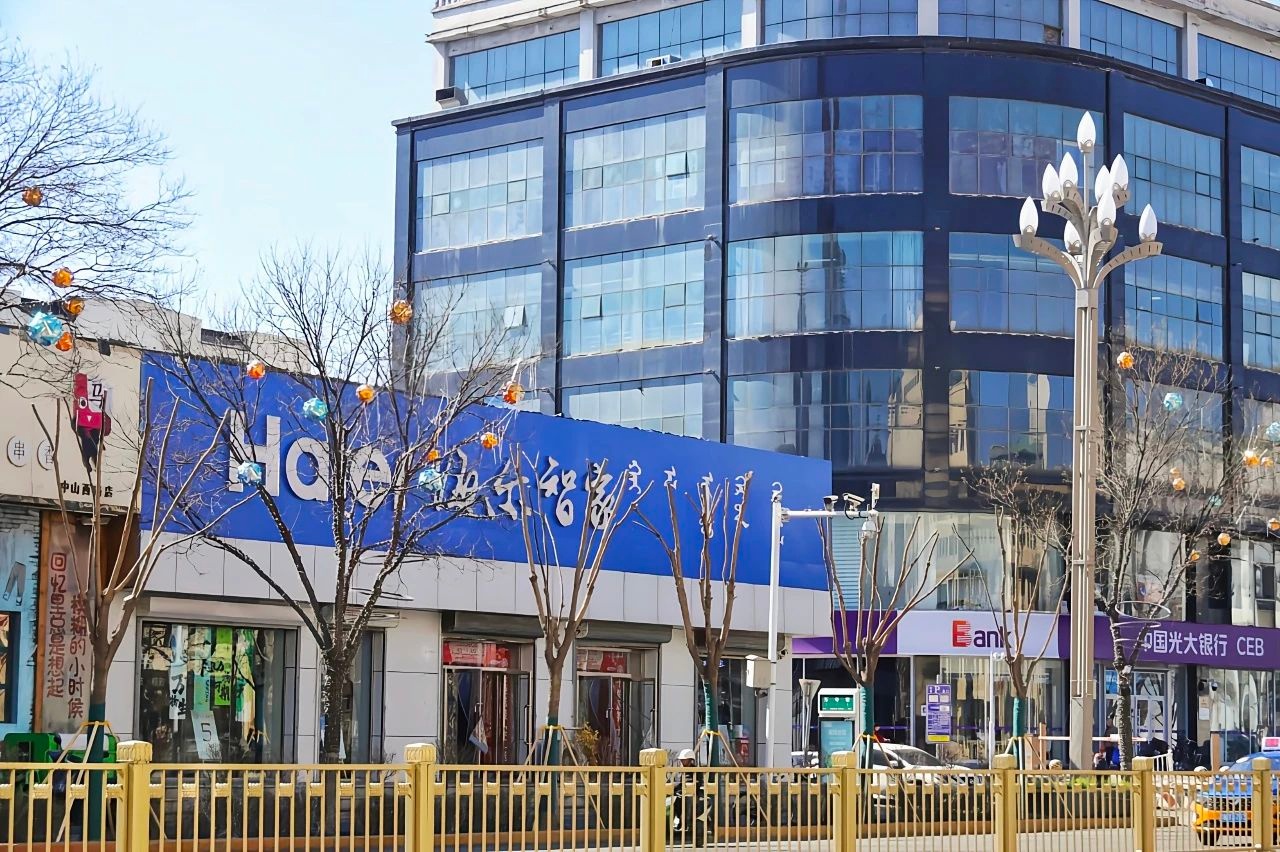 回民区中山西路绿色升级！86株国槐如何变身城市绿色卫士？  第6张