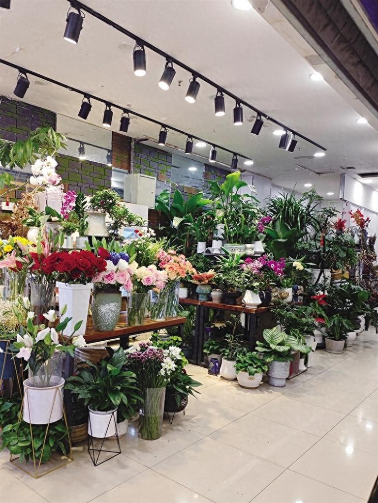 春意盎然，呼和浩特花卉市场为何如此火爆？市民为何纷纷抢购？