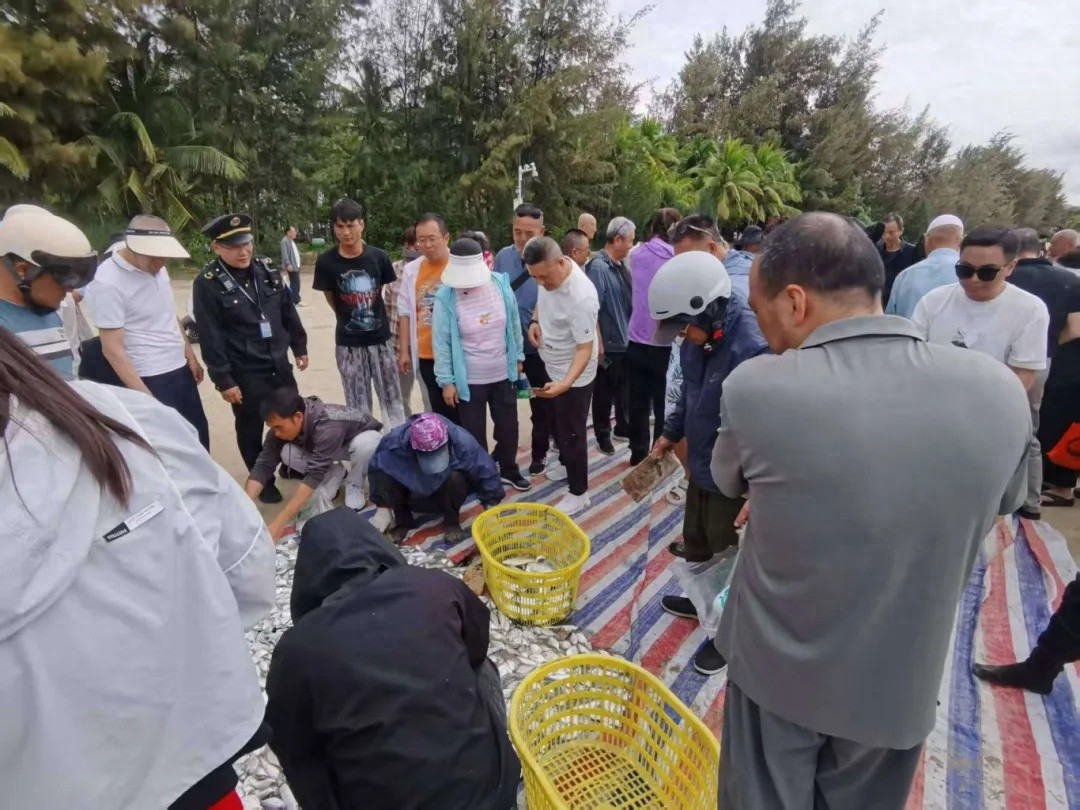 三亚湾占道经营难题如何破解？柔性执法显奇效
