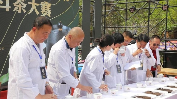 宁洱普洱茶开采节：三天时间，你怎能错过这场茶文化盛宴？  第4张