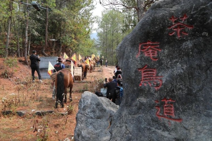 宁洱普洱茶开采节：三天时间，你怎能错过这场茶文化盛宴？  第6张