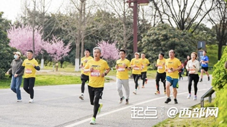 千余名跑者竞速盛唐遗址，你准备好体验这场历史与春光的交织之旅了吗？