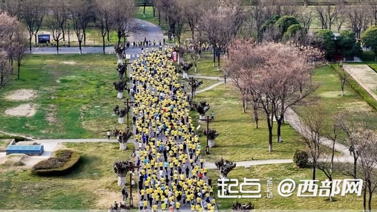 千余名跑者竞速盛唐遗址，你准备好体验这场历史与春光的交织之旅了吗？  第3张