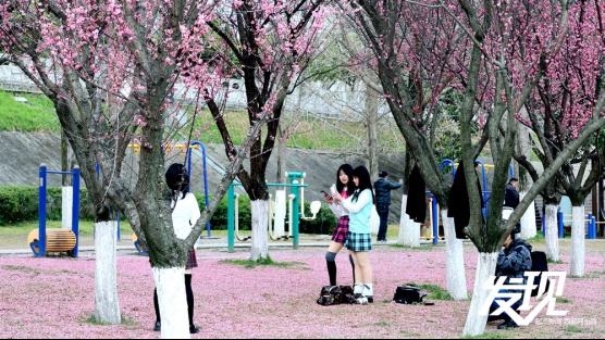 你是否想闯入汉中宁强县燕子砭岛湾村的私藏油画世界？  第3张