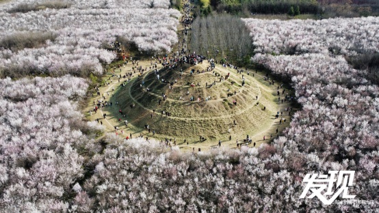 你是否想闯入汉中宁强县燕子砭岛湾村的私藏油画世界？  第6张