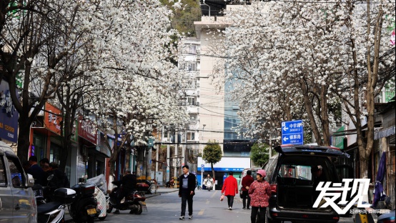 你是否想闯入汉中宁强县燕子砭岛湾村的私藏油画世界？  第7张