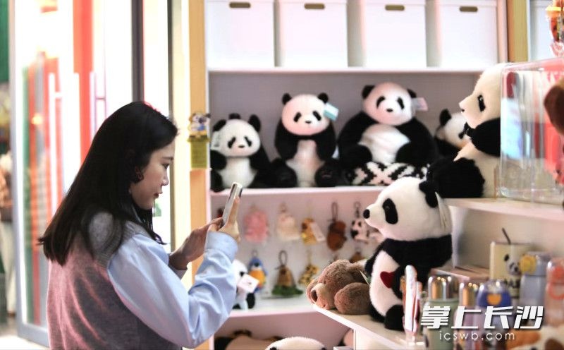 岳阳中华大熊猫苑开园啦！10只萌宝等你来打卡，你见过它们了吗？  第4张