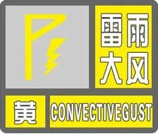 海口突发雷雨大风黄色预警！7-9级大风+强雷电+冰雹来袭，你准备好了吗？  第1张