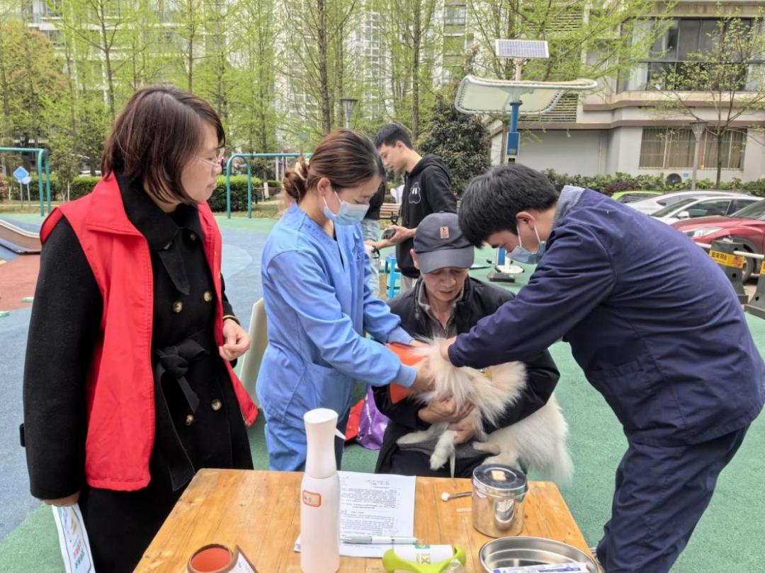 贵阳观山湖公安如何打造人犬和谐新风景？宣传+服务+治理三管齐下  第2张