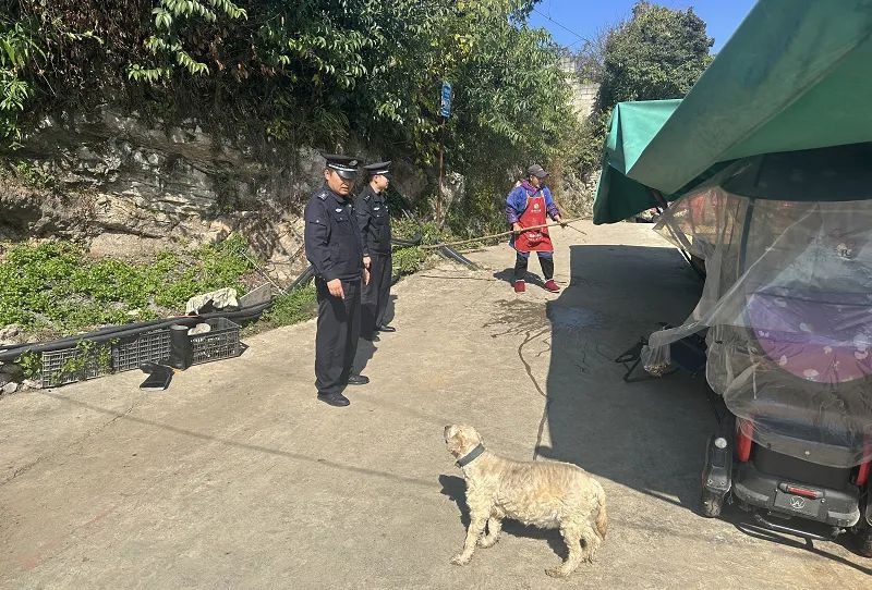 贵阳观山湖公安如何打造人犬和谐新风景？宣传+服务+治理三管齐下  第3张