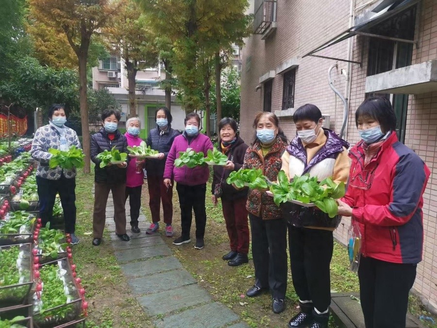 82岁银发先锋如何用一把锄头让社区焕发绿意？十年坚守背后的感人故事  第1张