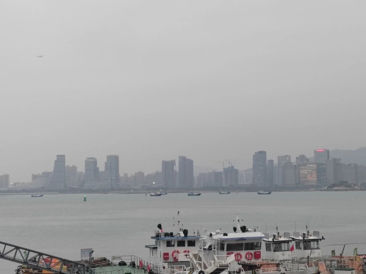 厦门海警日夜守护，中华白海豚的家园谁来保护？  第2张