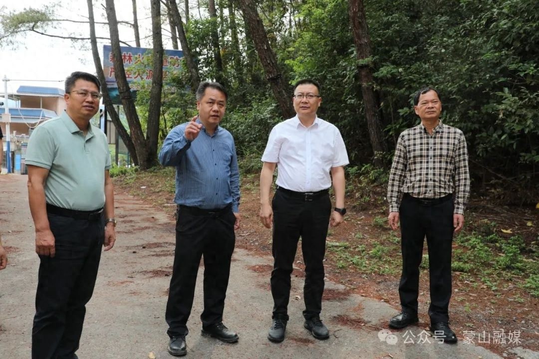 副县长林峰陪同调研，陈坚强调：如何以更大力度护好林、更高标准治好水、更严举措管好田？