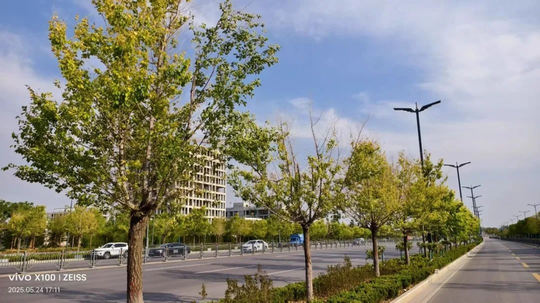 光明路路边停车收费标准是多少？乡村振兴村级协理员咋报名？速看  第5张