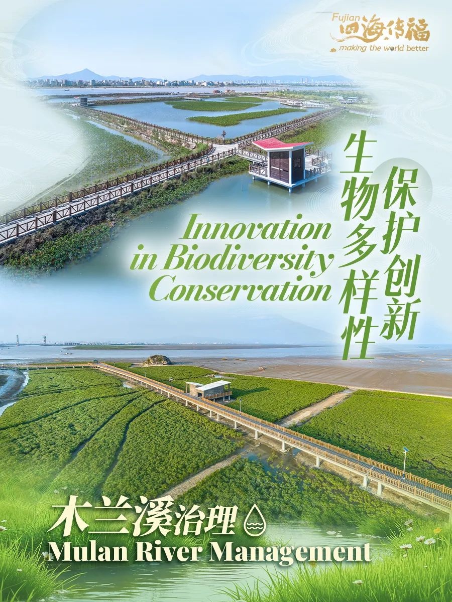 木兰溪根治千年水患？智慧与努力书写世界水利辉煌  第4张