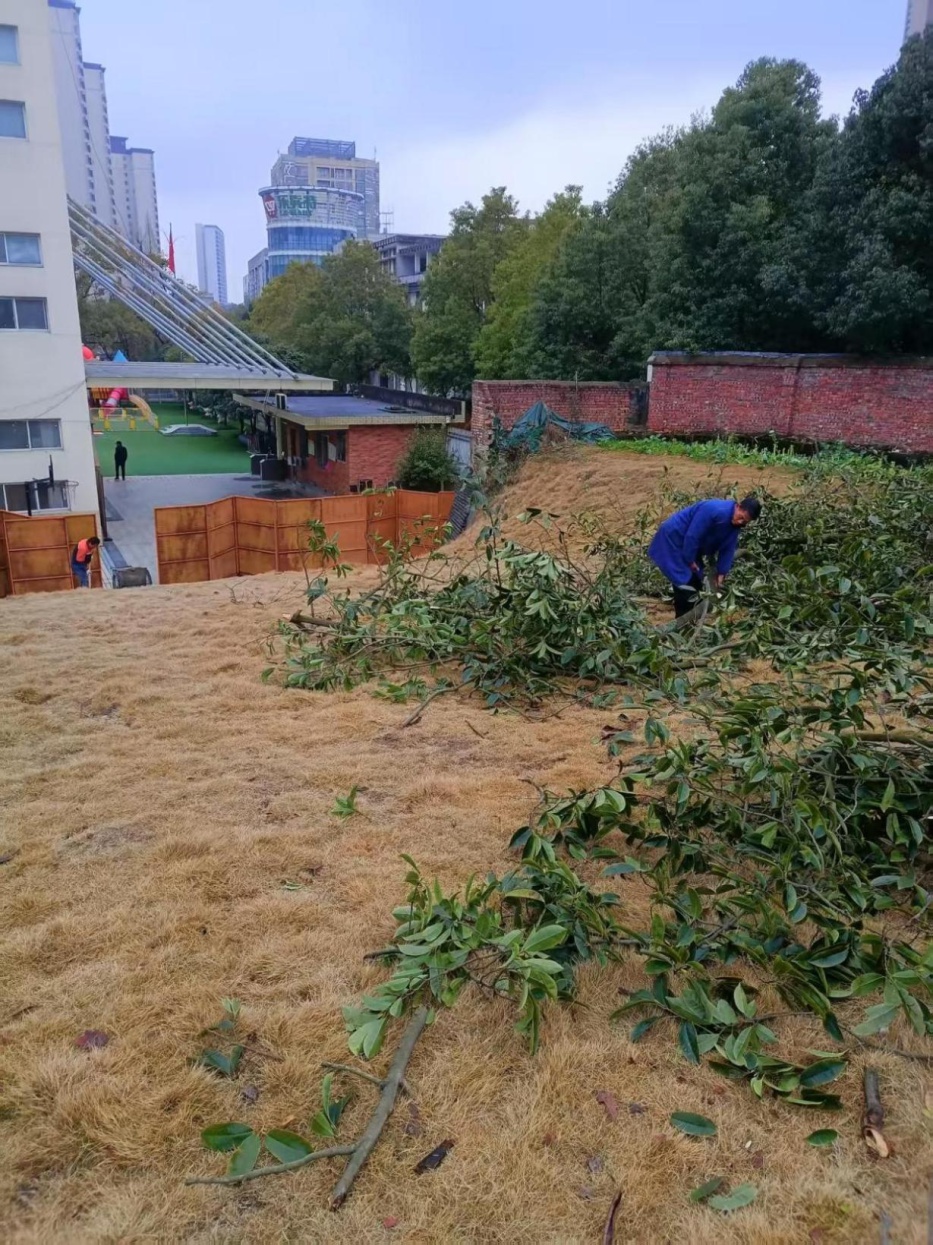 哇塞！分宜县机关幼儿园旁的口袋公园开放，家长接送超方便？  第4张