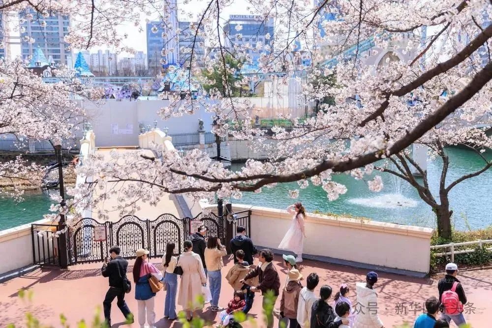 韩国釜山市沙下区放大招！新婚夫妇最高奖2000万韩元？  第2张