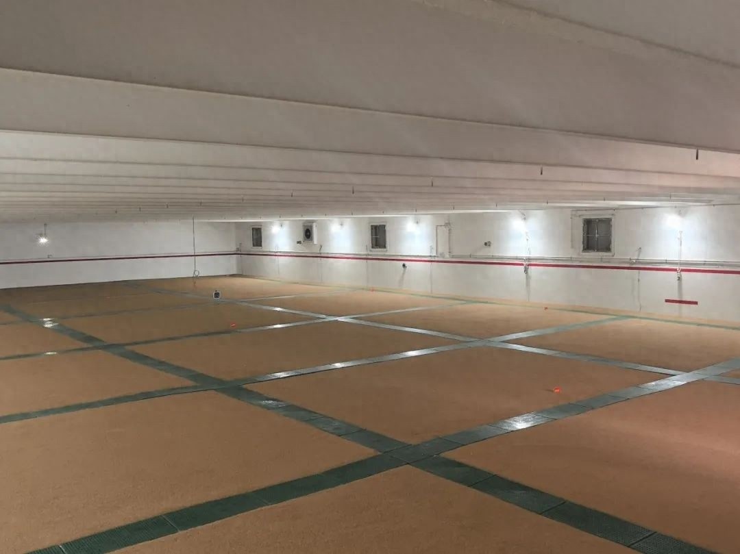 9000吨兰州新区原粮顺利交易！新区商投集团慧达公司如何筑牢储备粮安全防线？